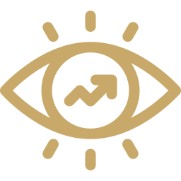 Long-Term Vision icon